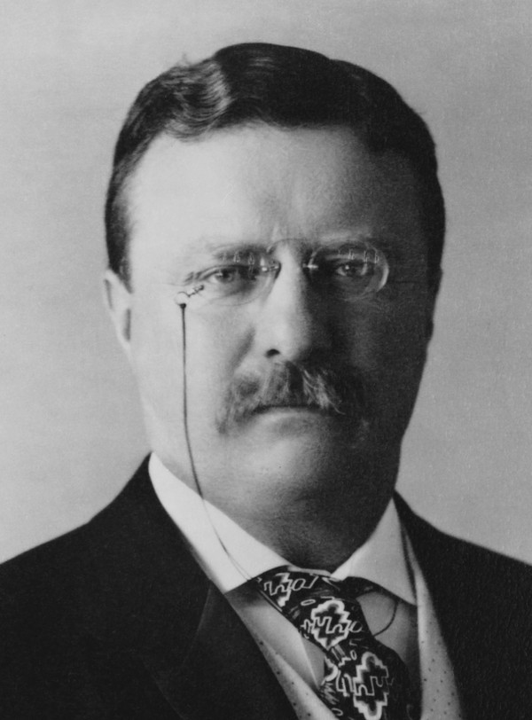 시어도어 루스벨트 주니어(Theodore Roosevelt. Jr., 1858~1919, 미국의 26번째 대통령(1901-1909)